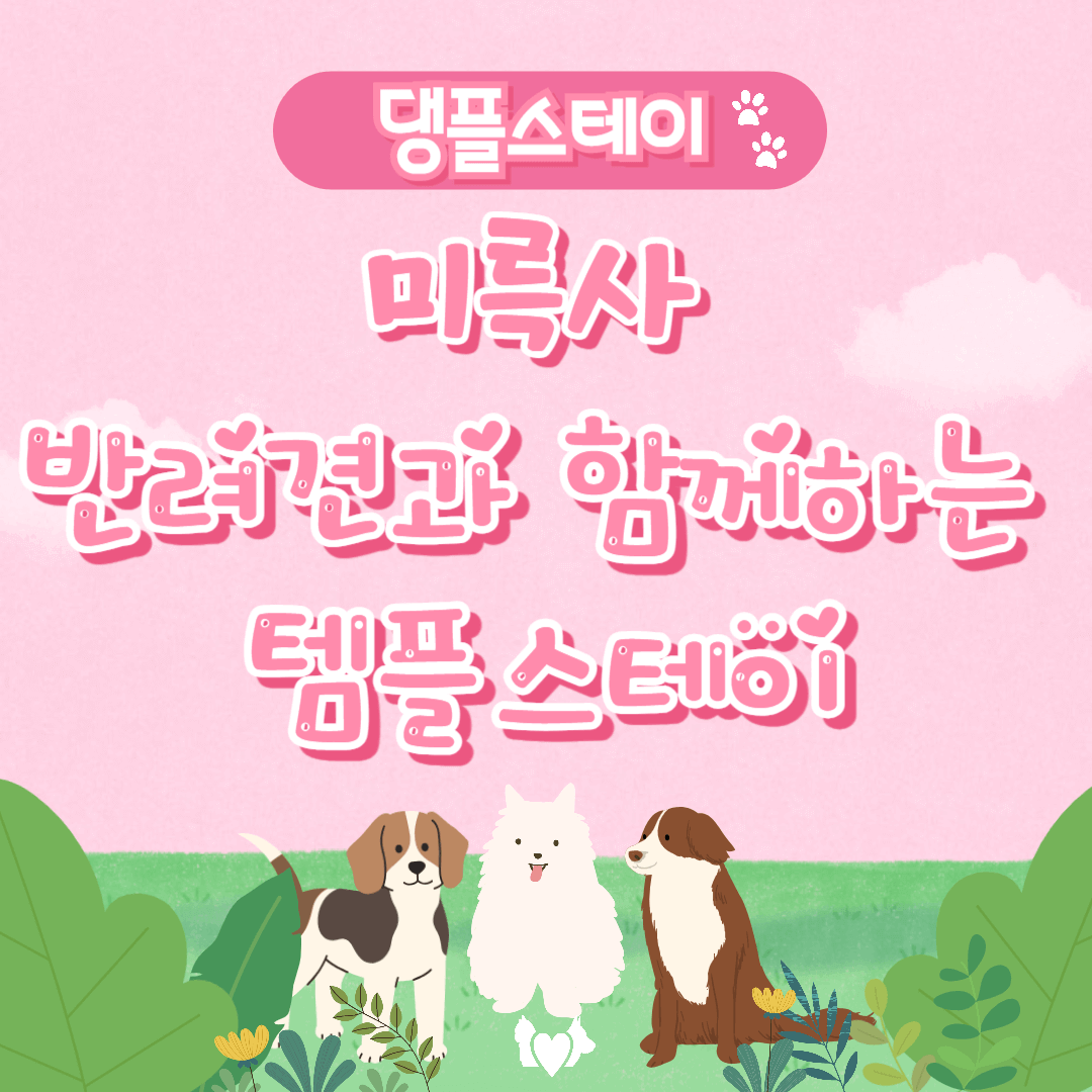 미륵사 반려견과 함께하는 템플스테이 홍보 포스터