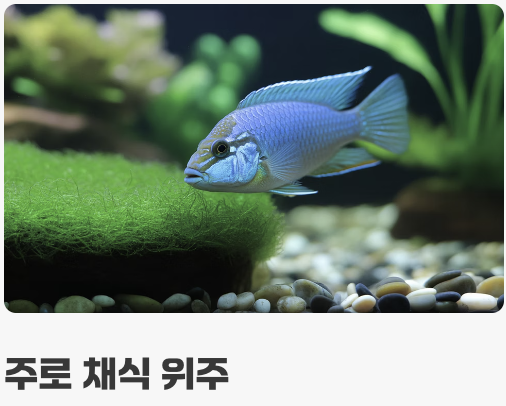 먹이 - '채식' 위주의 건강한 식단