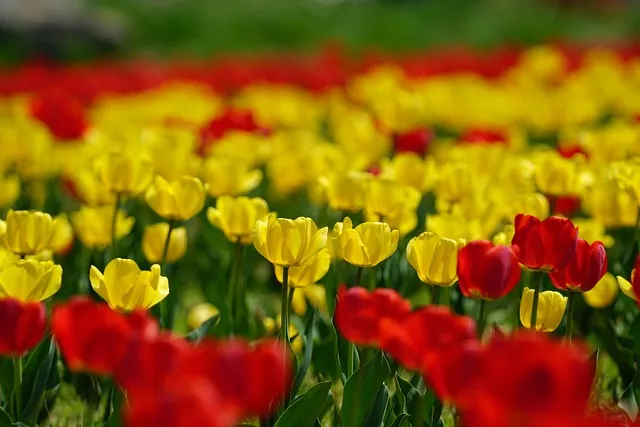 파주 가볼만한곳 베스트10 여행 코스 맛집_8