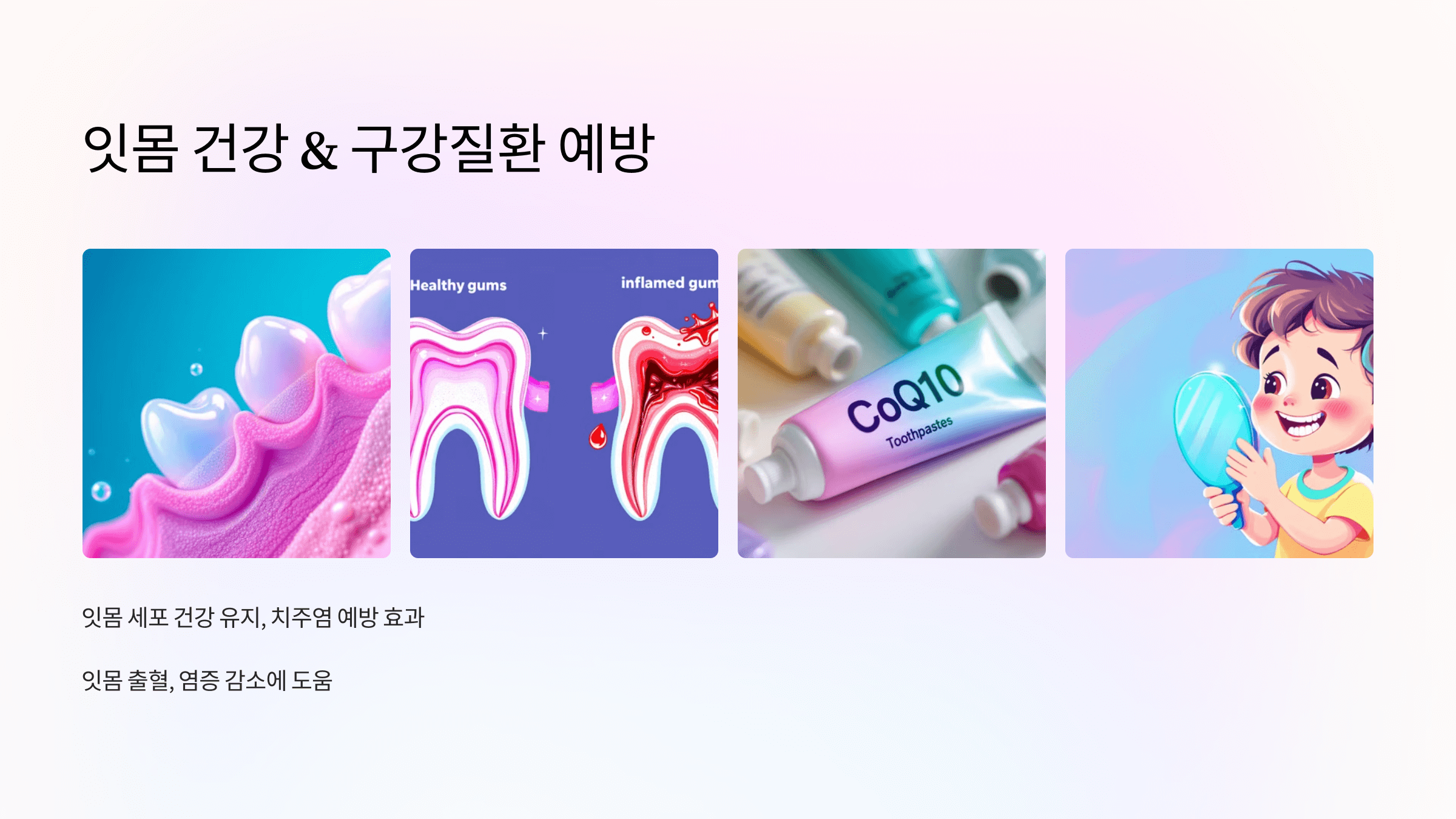 코큐텐과 관련된 사진입니다.