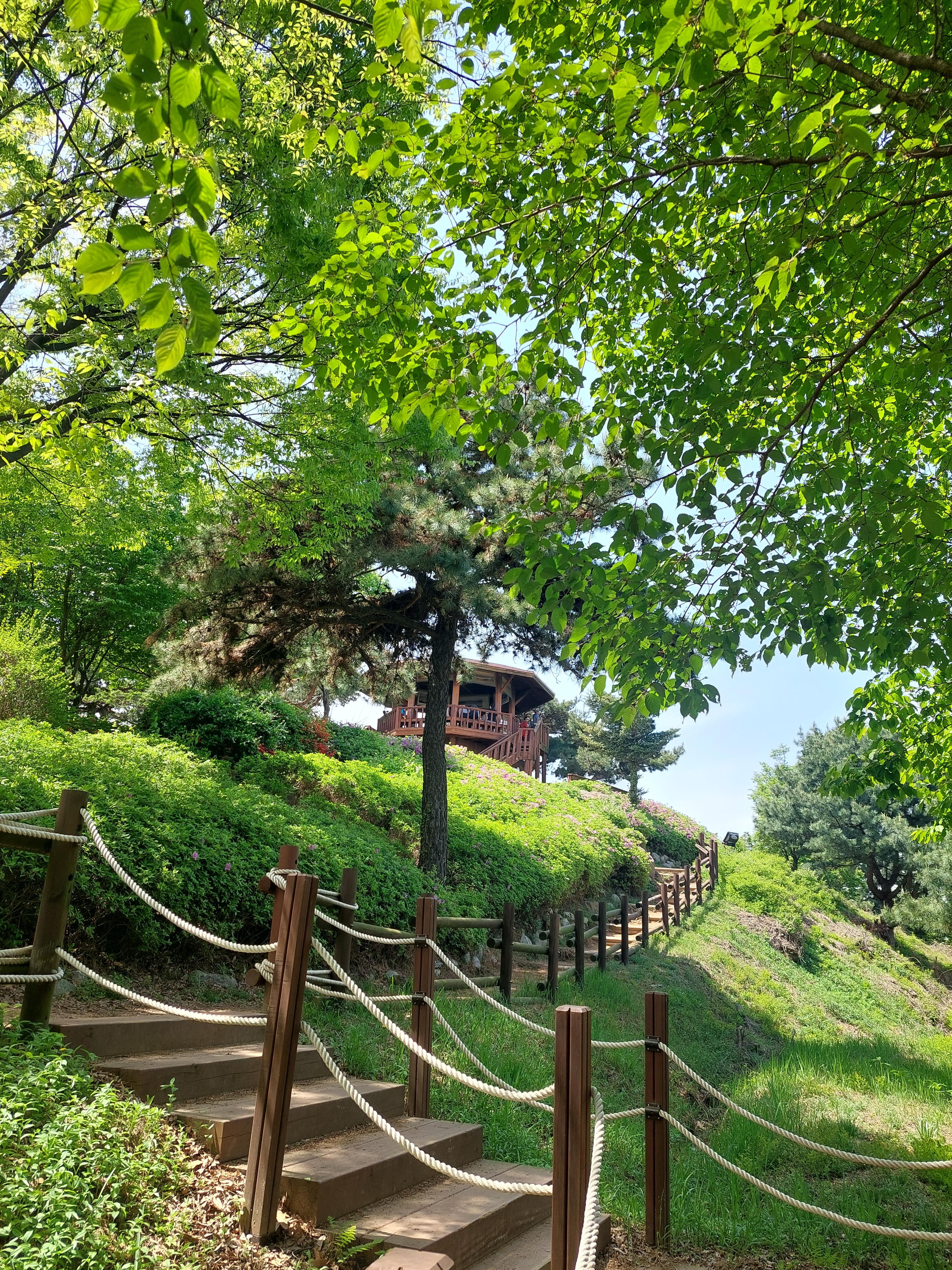 심학산
