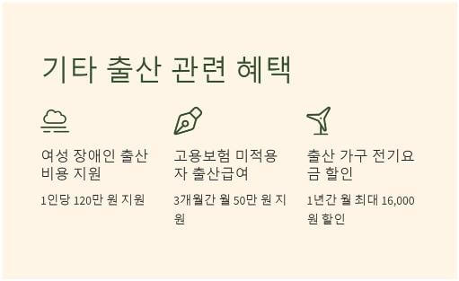 출산 혜택