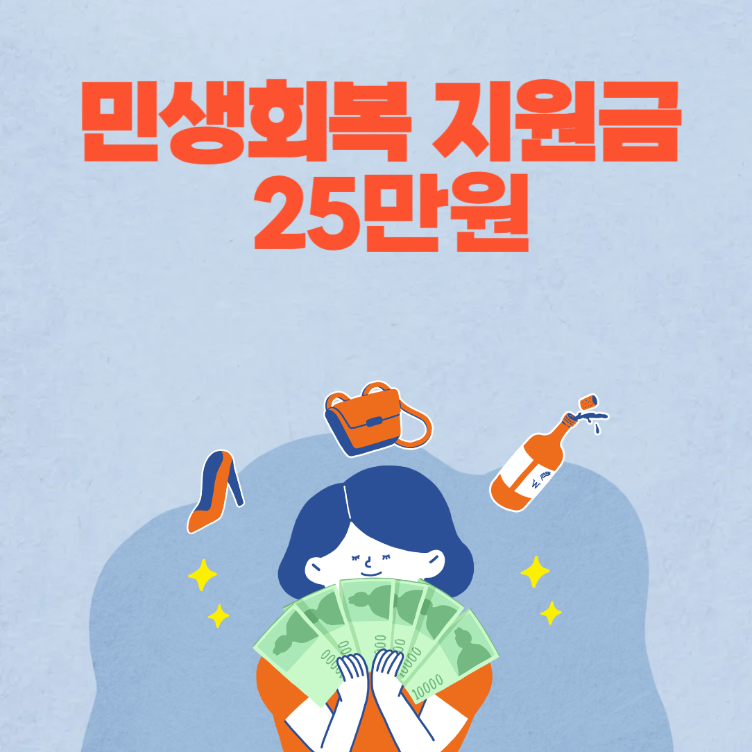 민생지원금 25만원