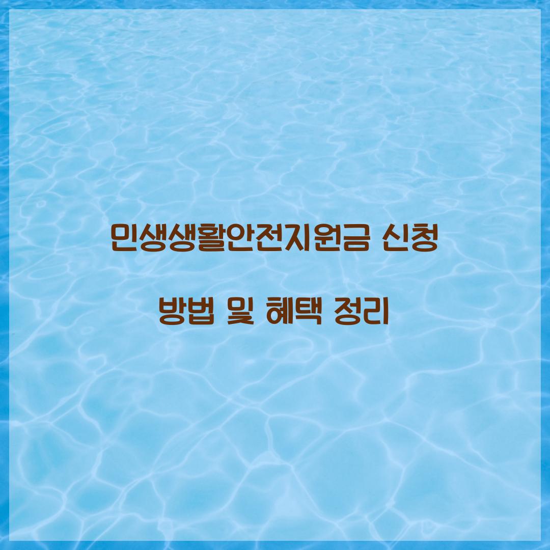 민생생활안전지원금