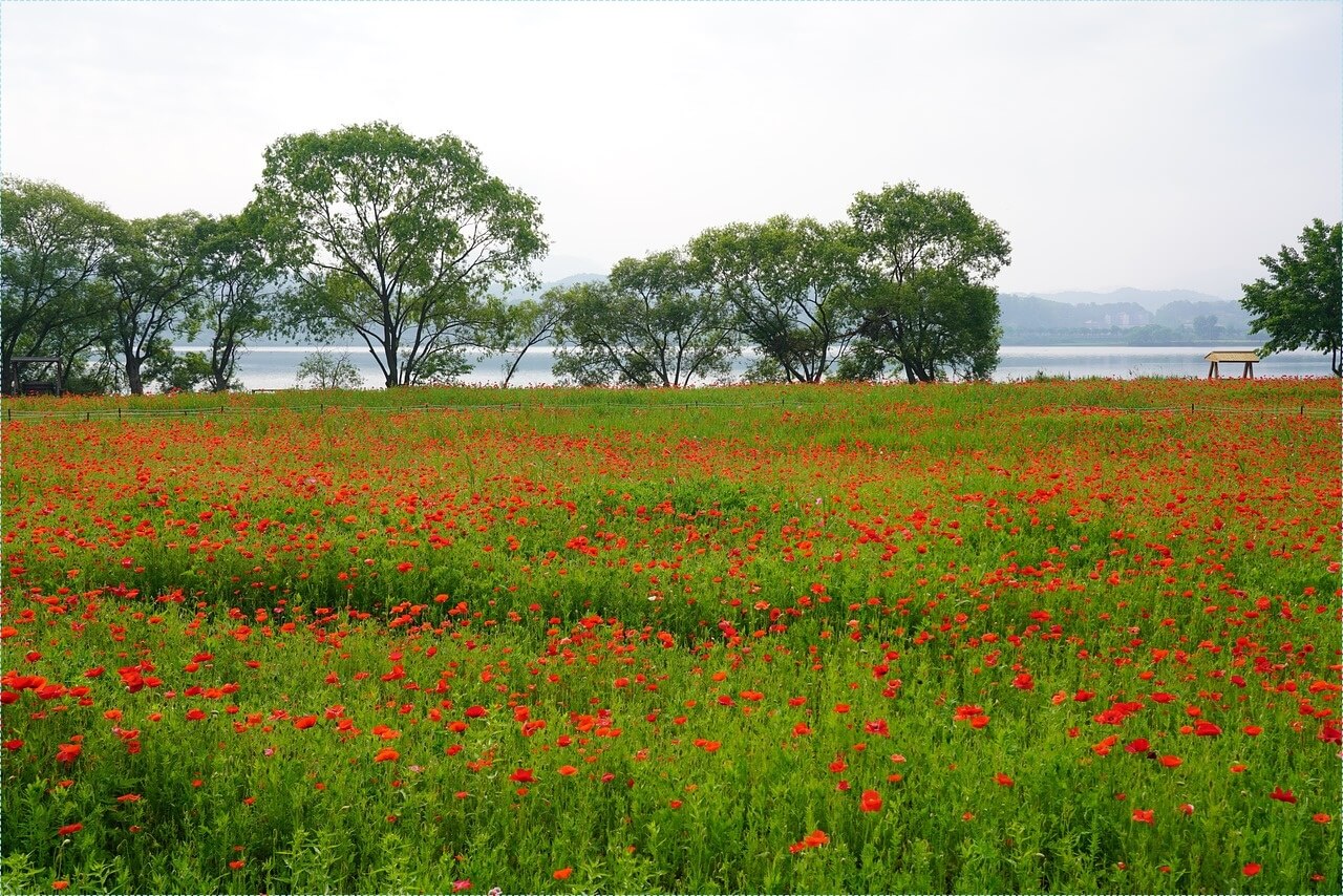적금 이율 높은 은행