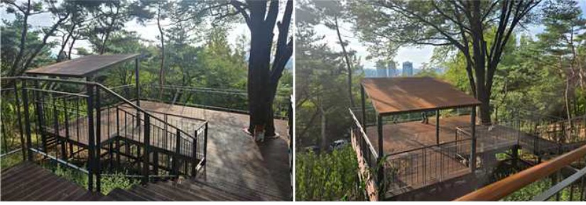 조망포인트 - 느티나무전망대