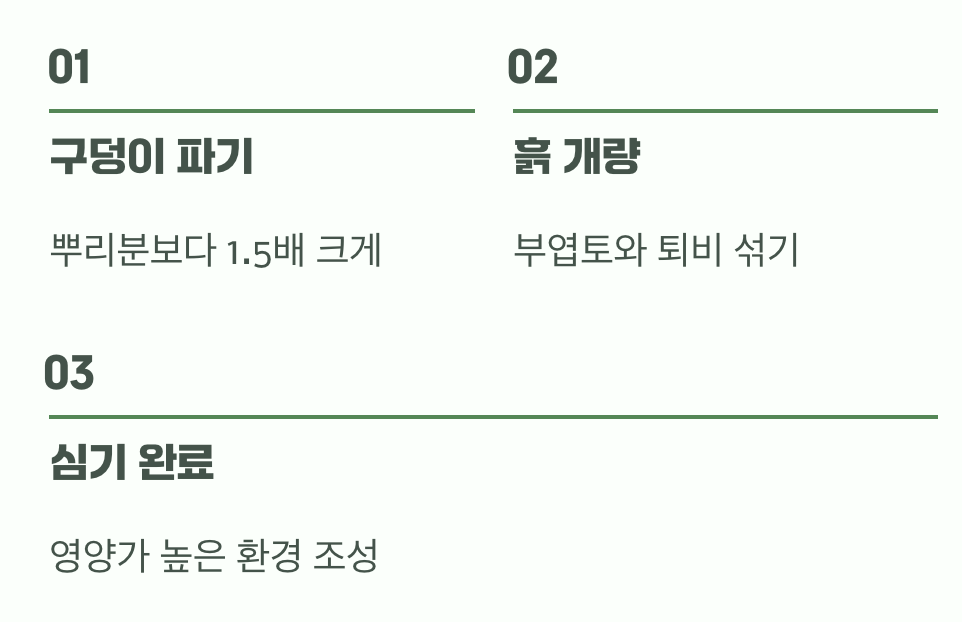 비결 2. 튼튼한 집 지어주기 (흙과 심기)