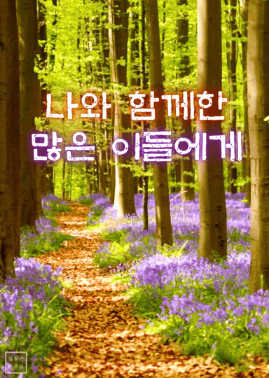 숲길 위 보랏빛 꽃과 함께하는 감사 메시지 이미지