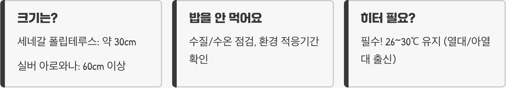 고대어 키우기 A to Z (어항, 먹이, 수질 관리)