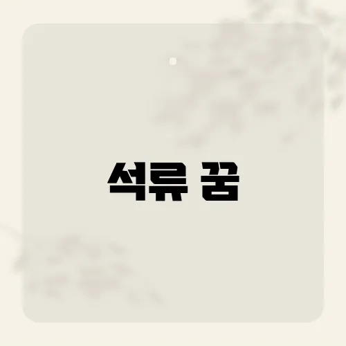석류 꿈, 붉은 씨앗이 부르는 행운?