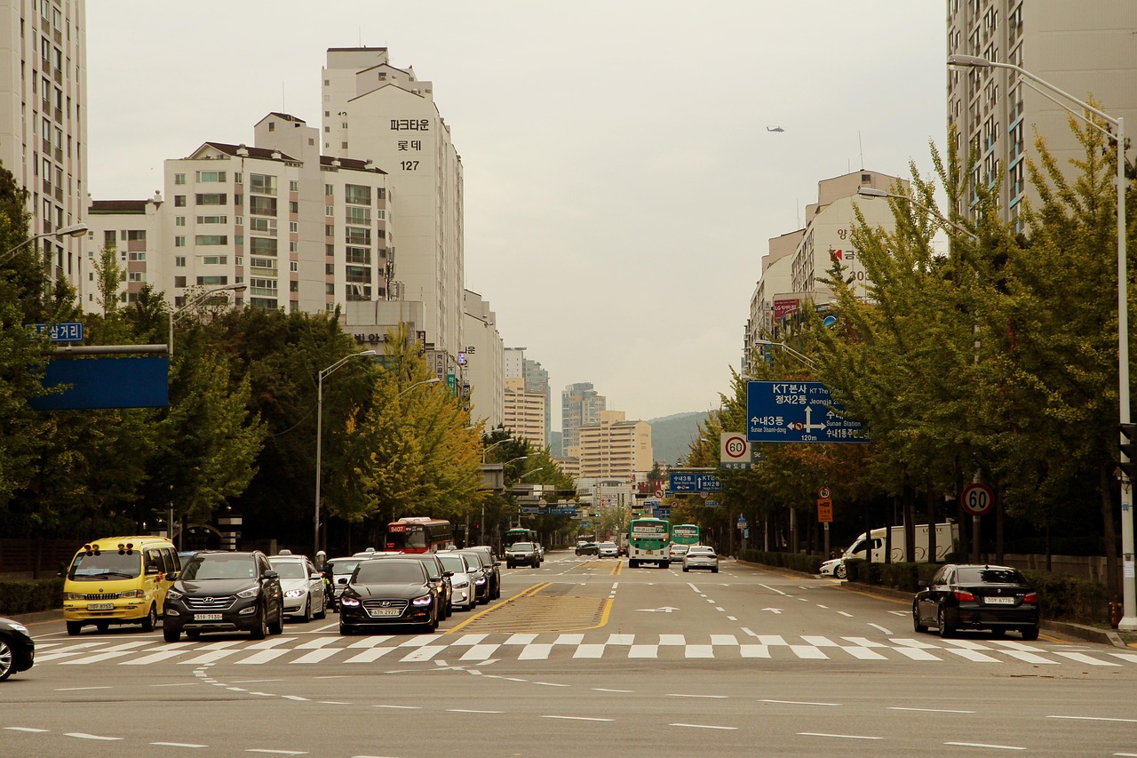 내가 실제로 가본 성남시 분당구 숨은 명소 5곳