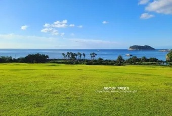 제주 아쿠아플라넷 입장료 할인정보 및 볼거리 소개_12