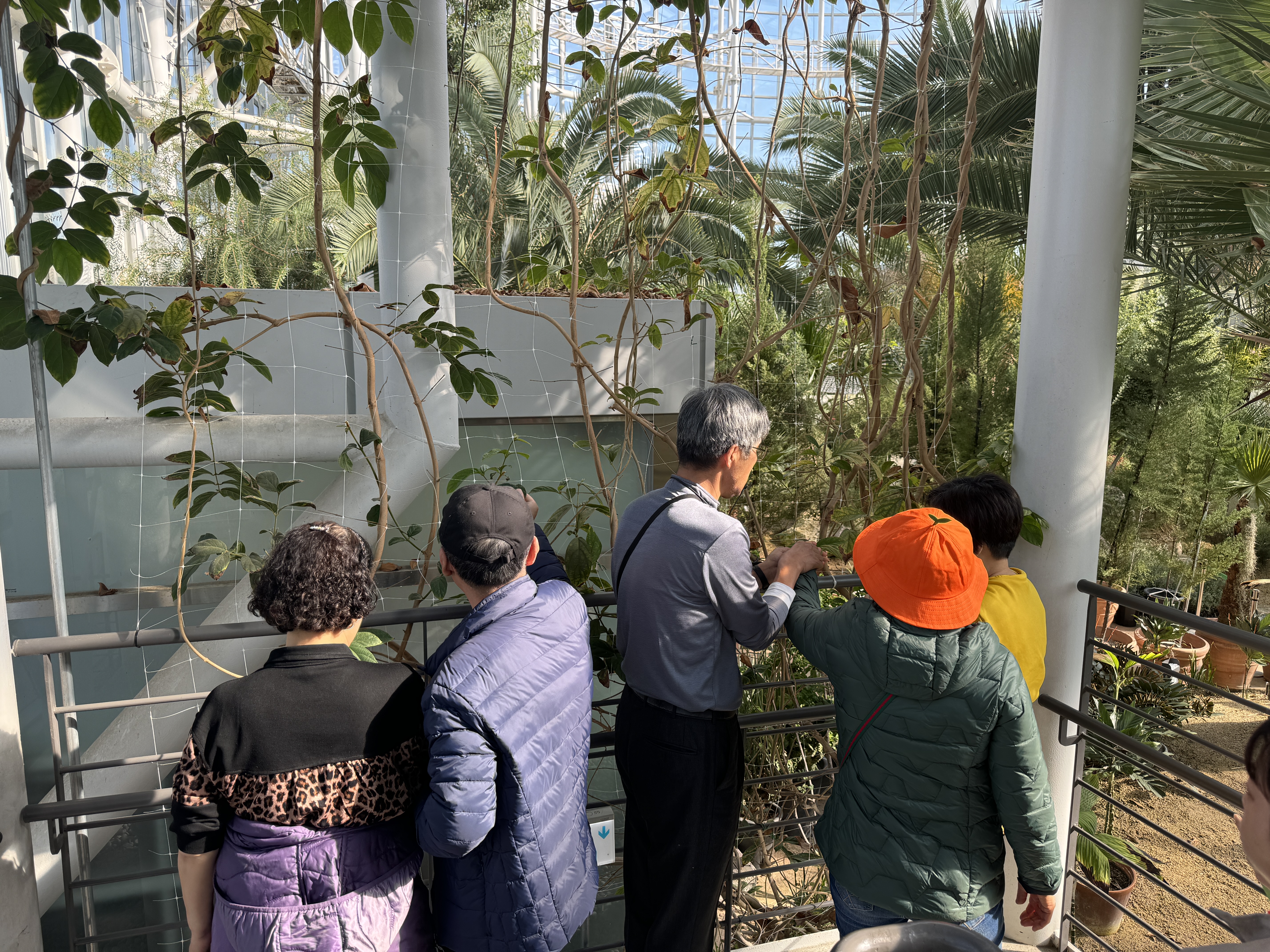 온실에서 식물과 교감하는 참가자들의 모습