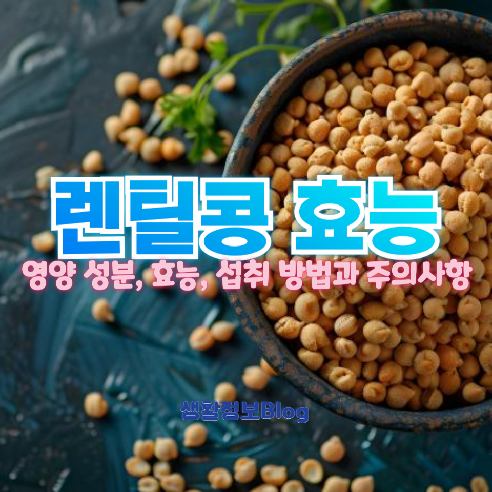 렌틸콩 효능