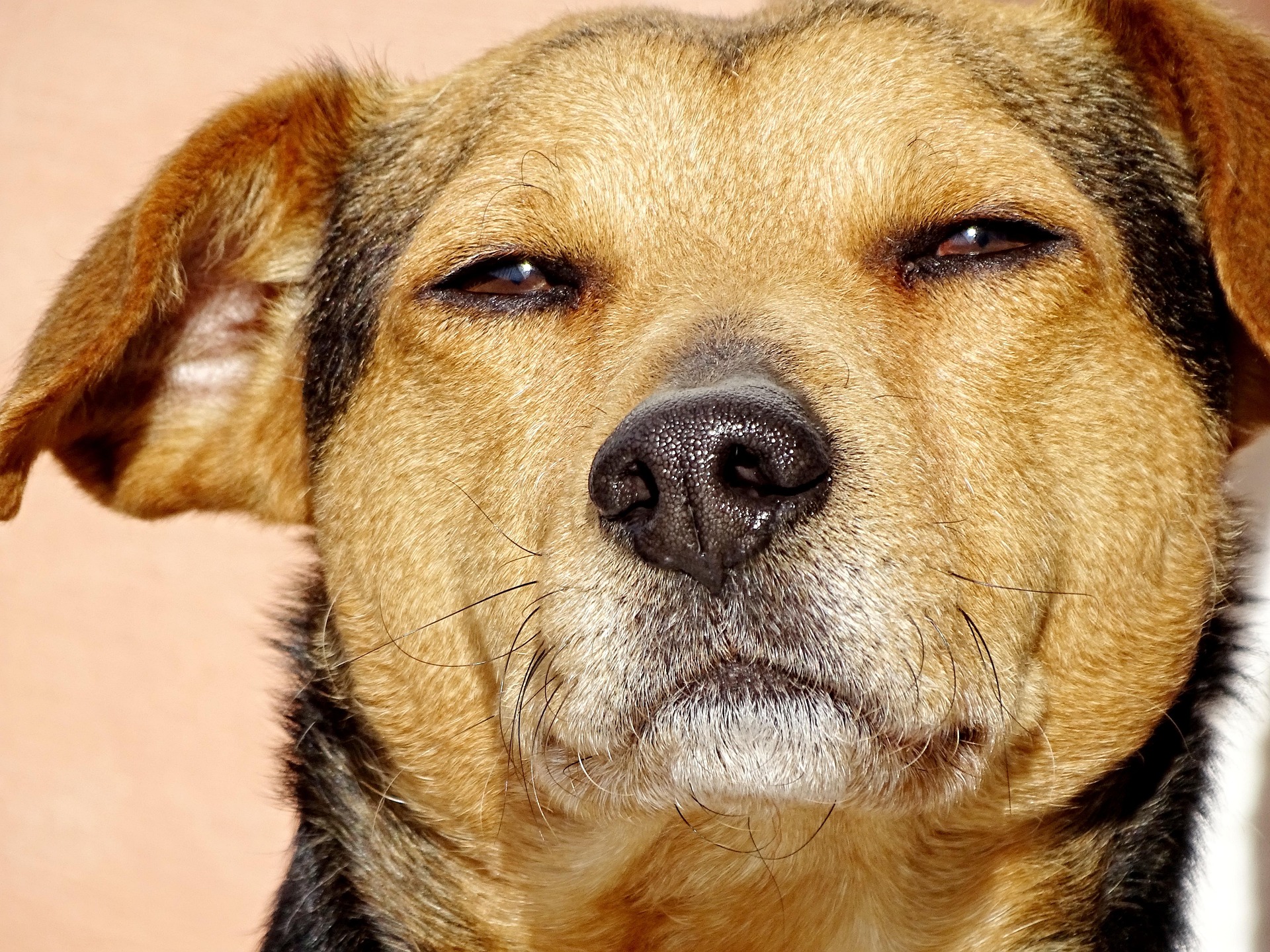 피로 회복에 좋은 생활 습관