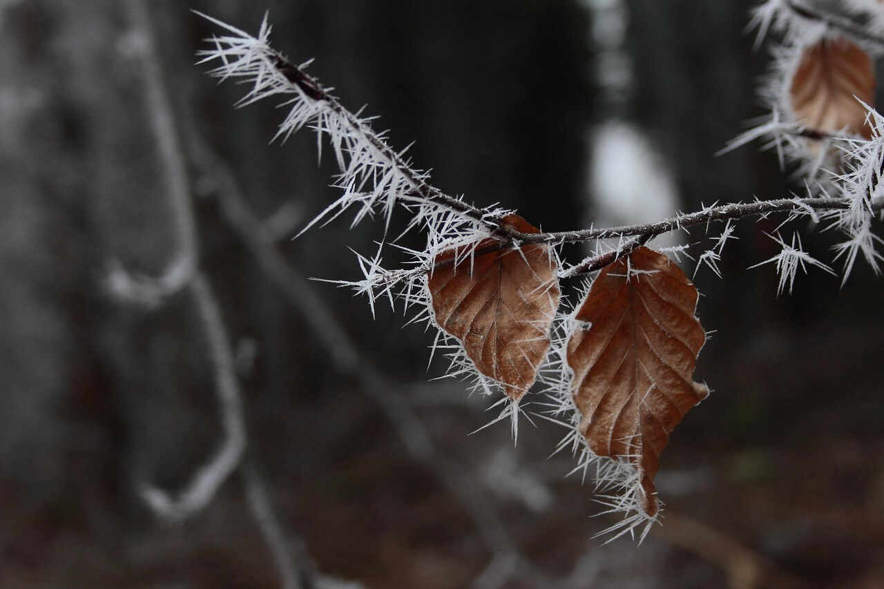 2025 소설 날짜 의미