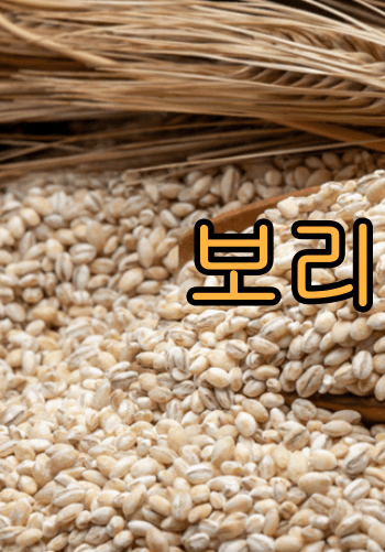 혈당_GI지수_낮은_ 쌀