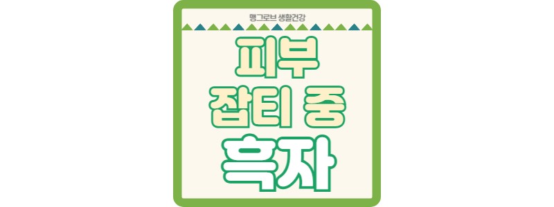 피부 잡티 중 흑자, 제대로 알고 효과적으로 관리해요 썸네일