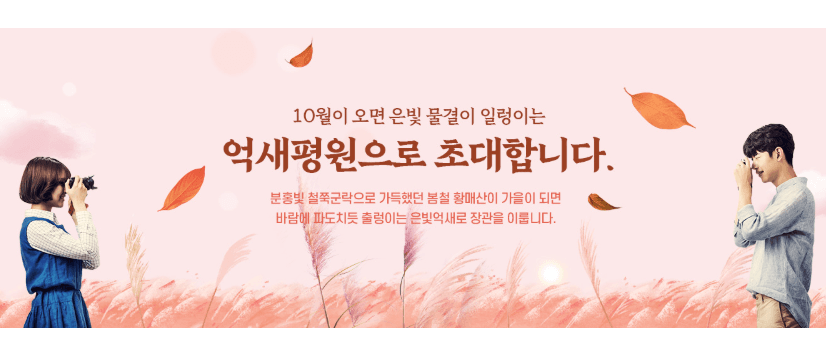 황매산억새축제