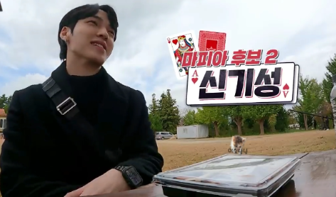 러브마피아 신기성