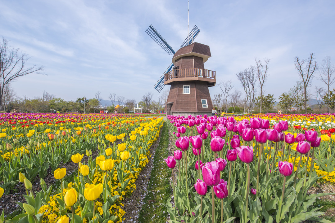 순천만 국가정원 야간개장