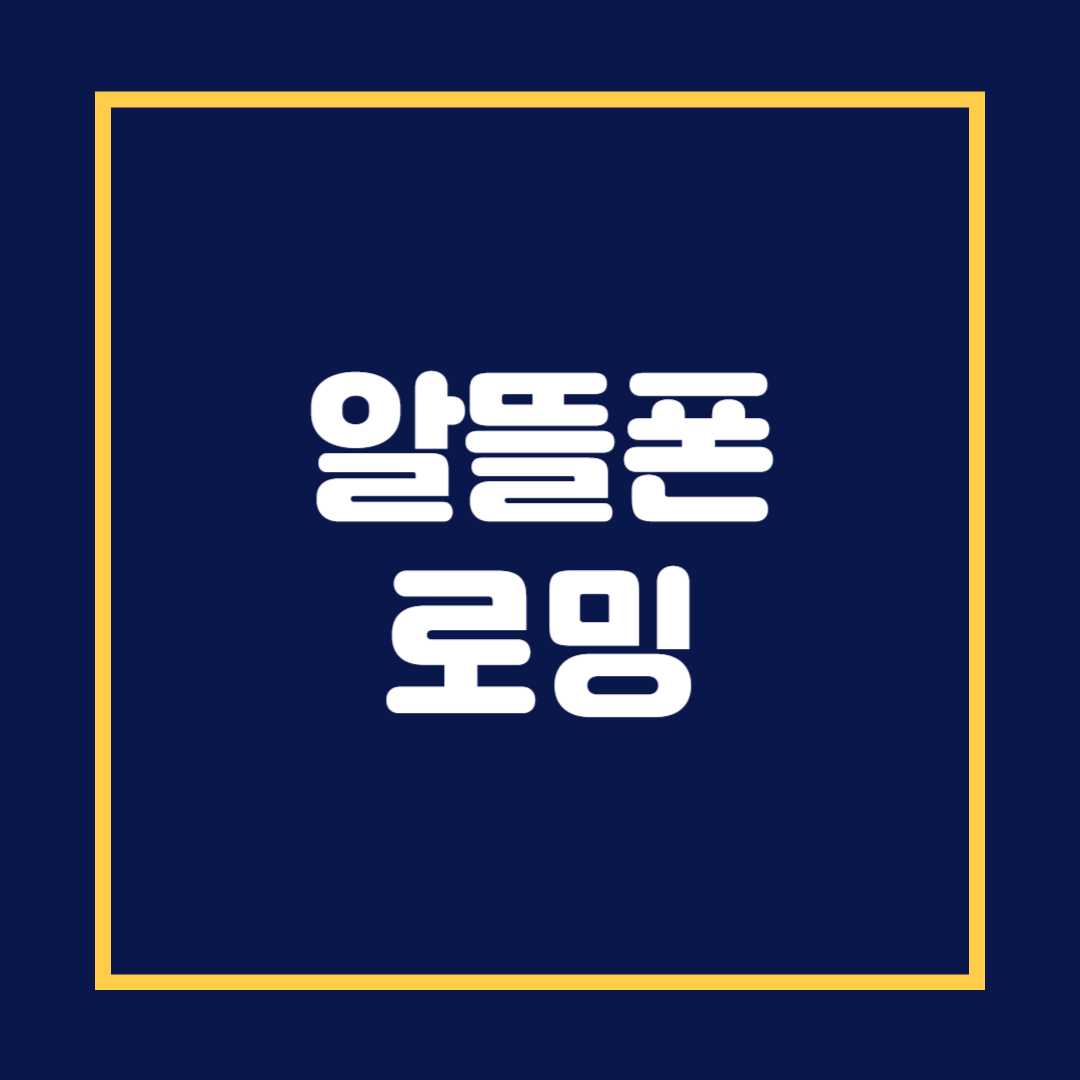알뜰폰 로밍