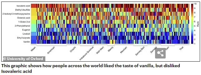보편적 사람들이 가장 좋아하는 향과 그리고 싫어하는 냄새는 VIDEO: The Universally Hated Smells, And Why We All Love Vanilla According To Science