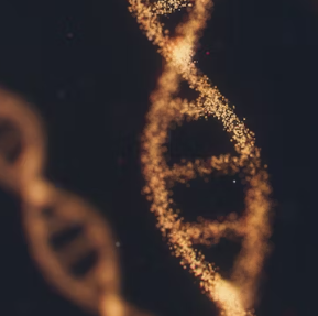 글루타치온 효능 부작용 복용법