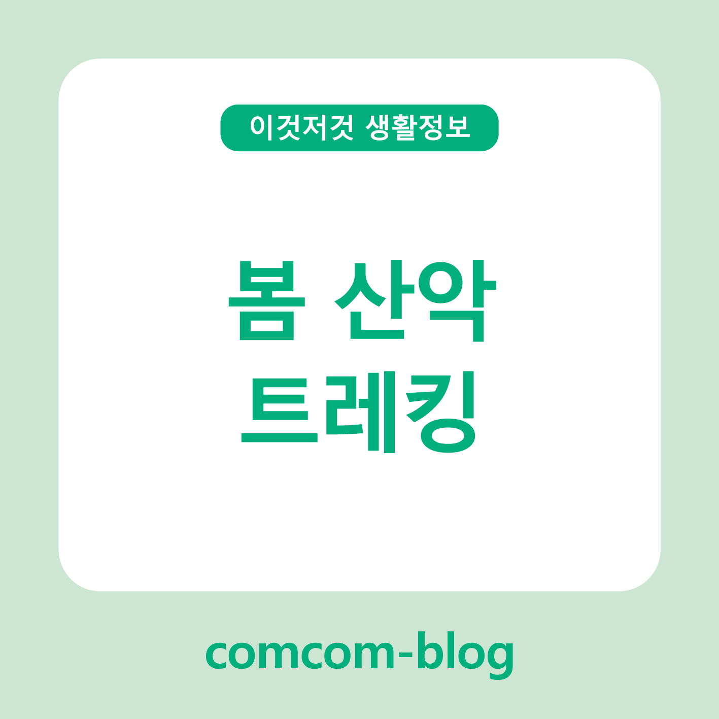 봄바람 타고 걷는 힐링의 길 🏞️ 봄 산악트레킹 완벽 가이드