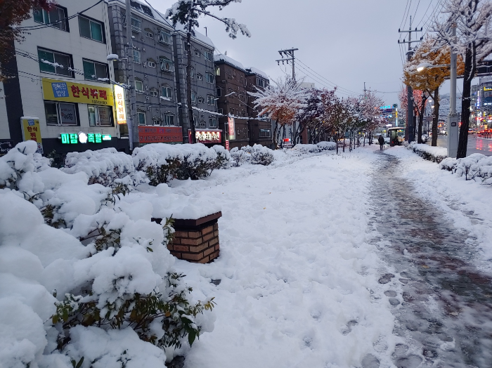 경기도-시흥시-신천동-첫눈