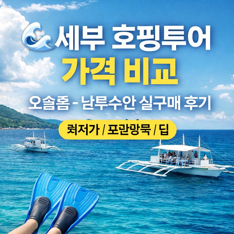 🌊 세부 호핑투어 가격 비교 - 실제 후기로 알아보는 오슬롭·날루수안