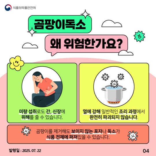 곰팡이 독소, 침묵의 위협! 꼭 알아야 할 예방법