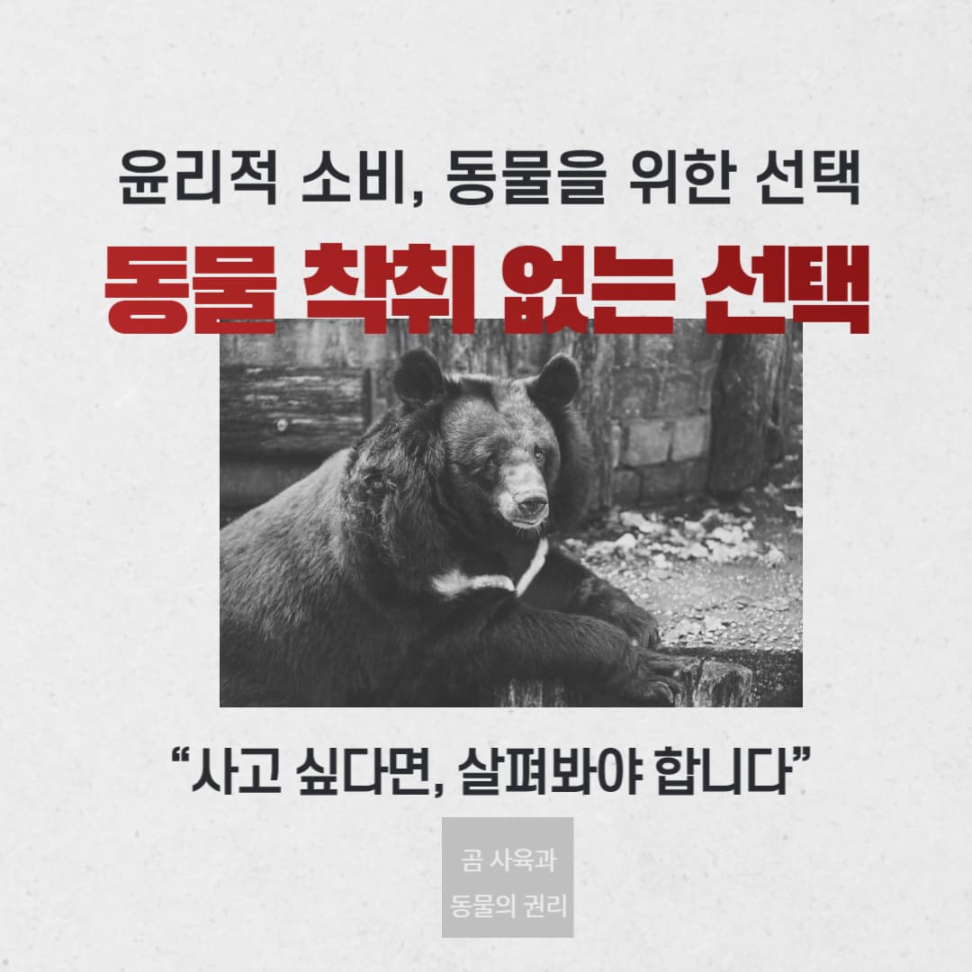 윤리적 소비란 무엇인가? 동물 착취 없는 선택