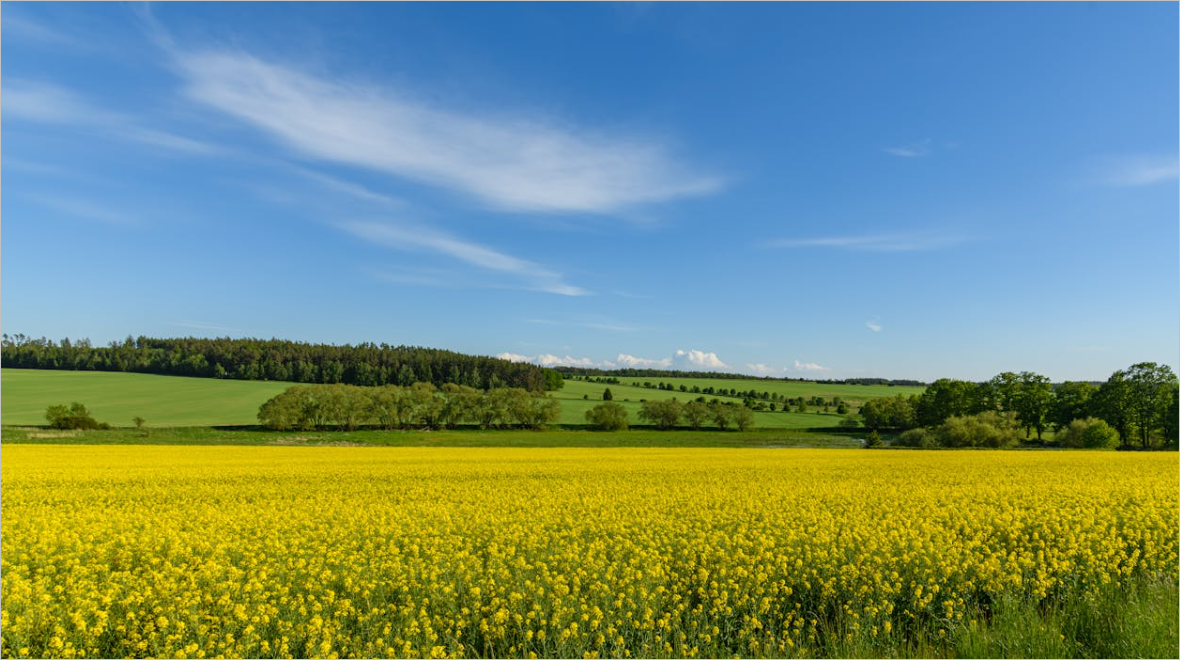 다음메일 수신확인 방법, 다음메일 발송취소 방법