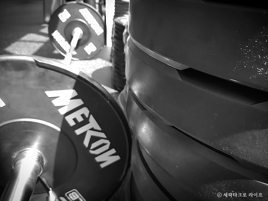 표박사크로스핏