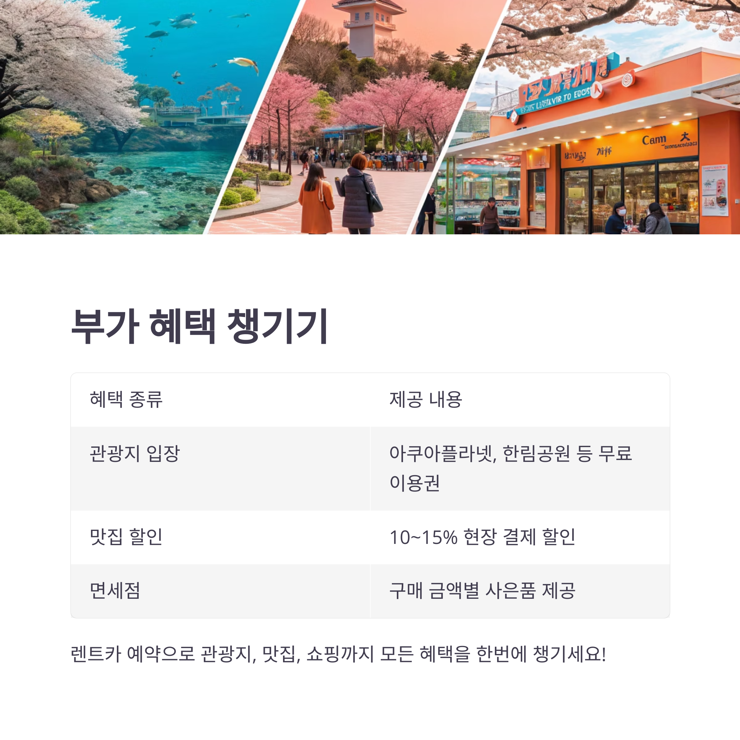 제주 렌트카 싸게 빌리는 법