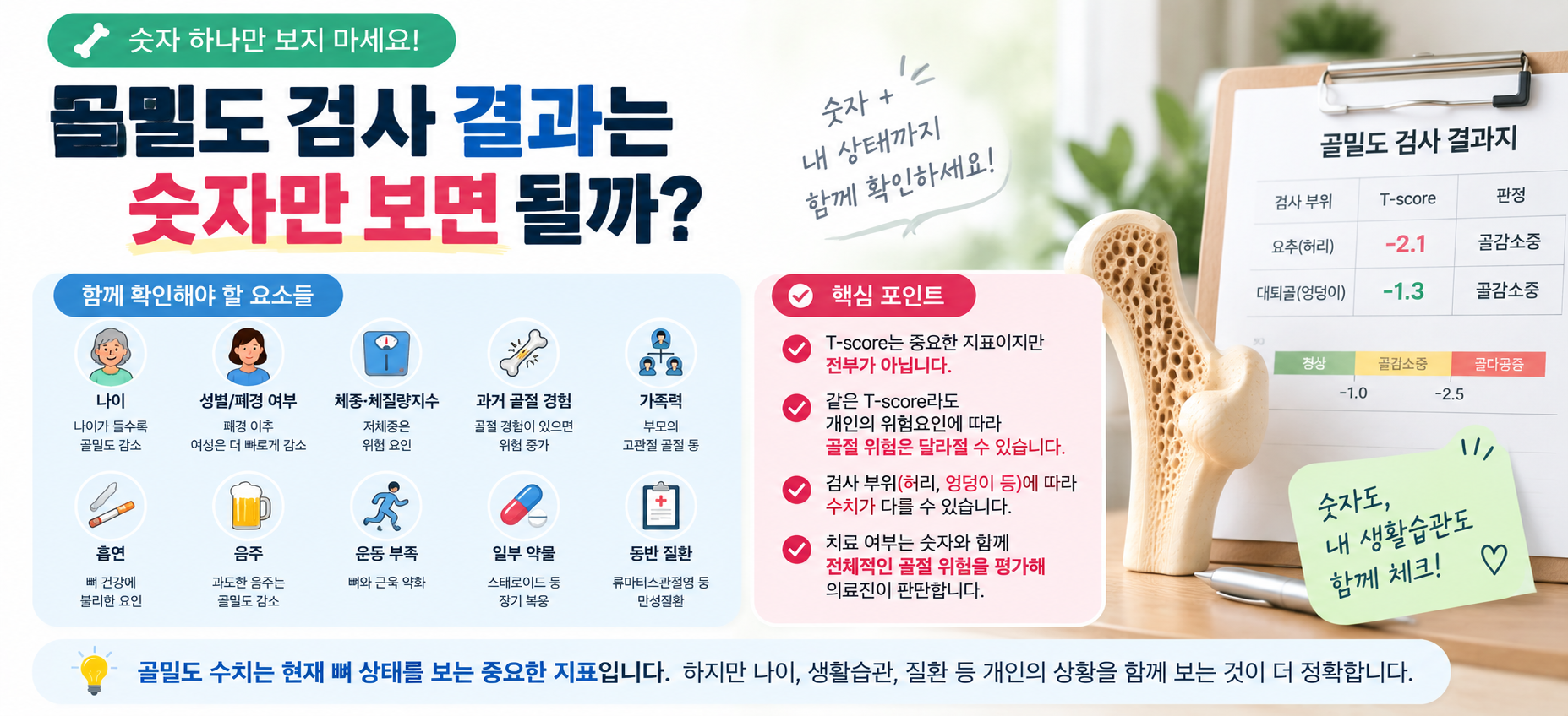 골밀도 검사 결과 T-score와 골절 위험요인 확인