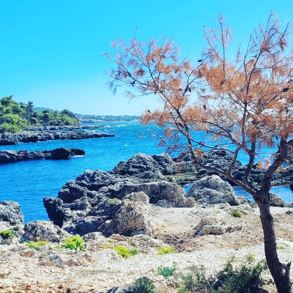 4일 가이드 혼자 여행 케팔로니아: 그리스 이오니아 제도