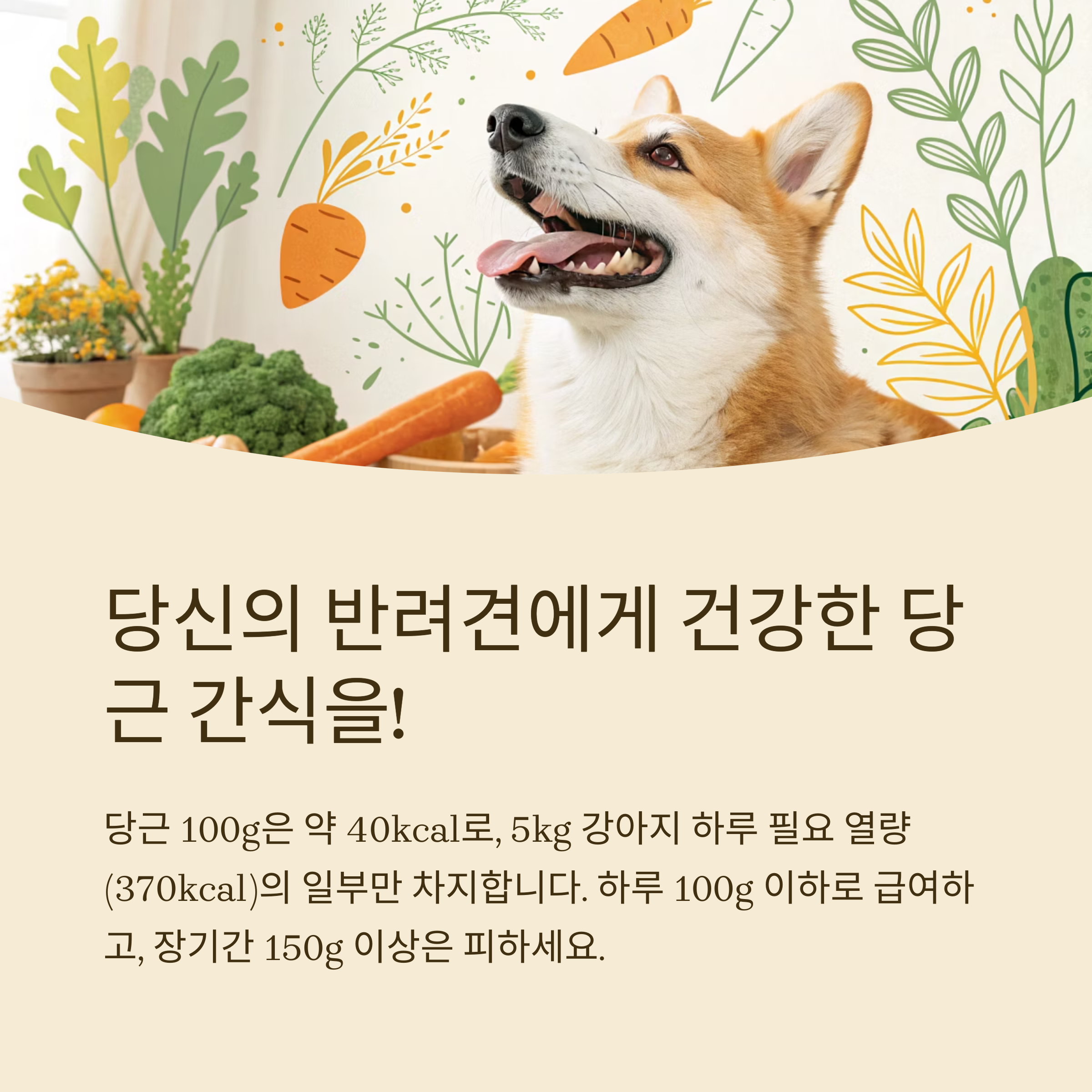 당신의 반려견에게 건강한 당근 간식을!