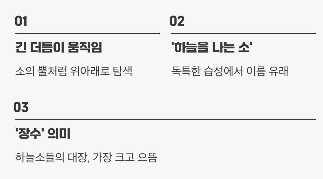 하늘소, 이름의 유래는?