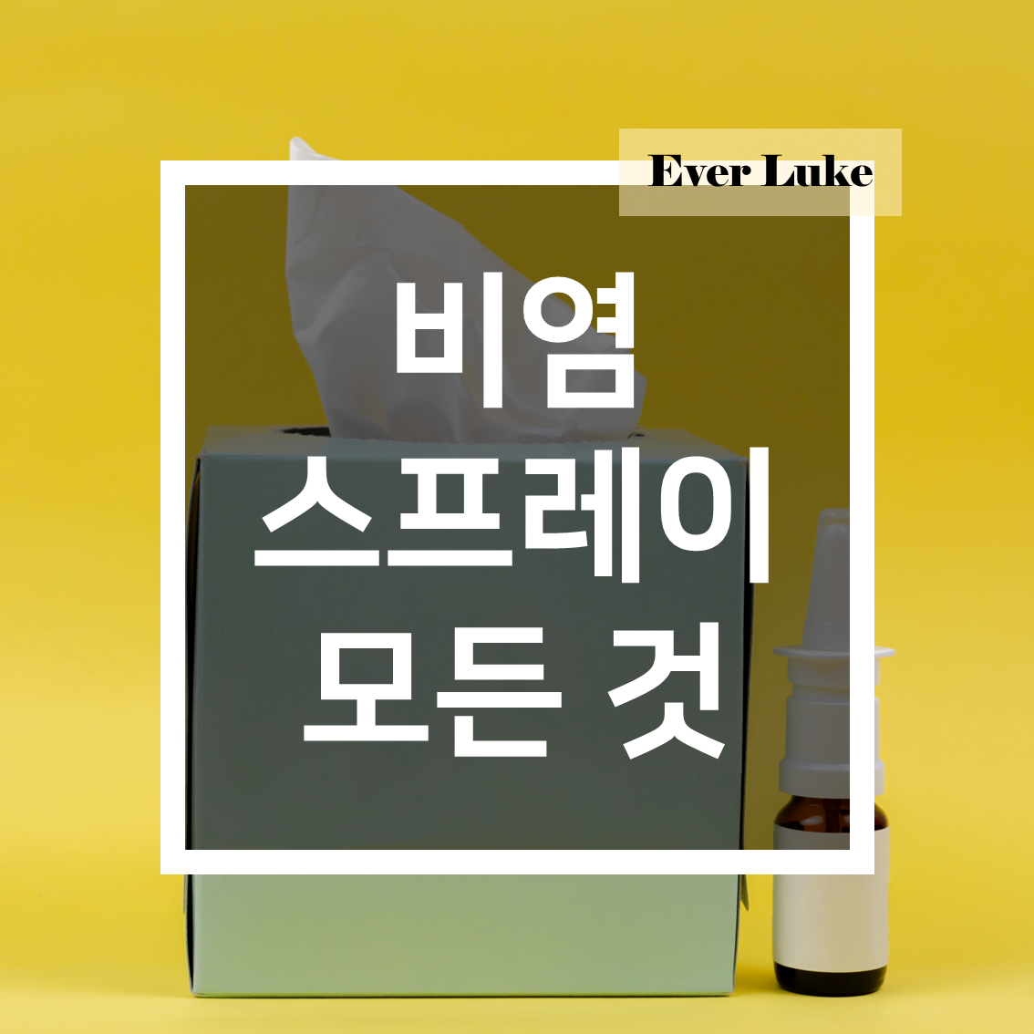 비염스프레이 부작용 없이 쓰는 법. 코막힘스프레이 종류&#44; 특징&#44; 사용법(비염 완전 정복)