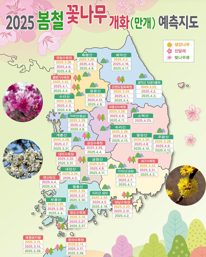 봄꽃 개화 예측 지도