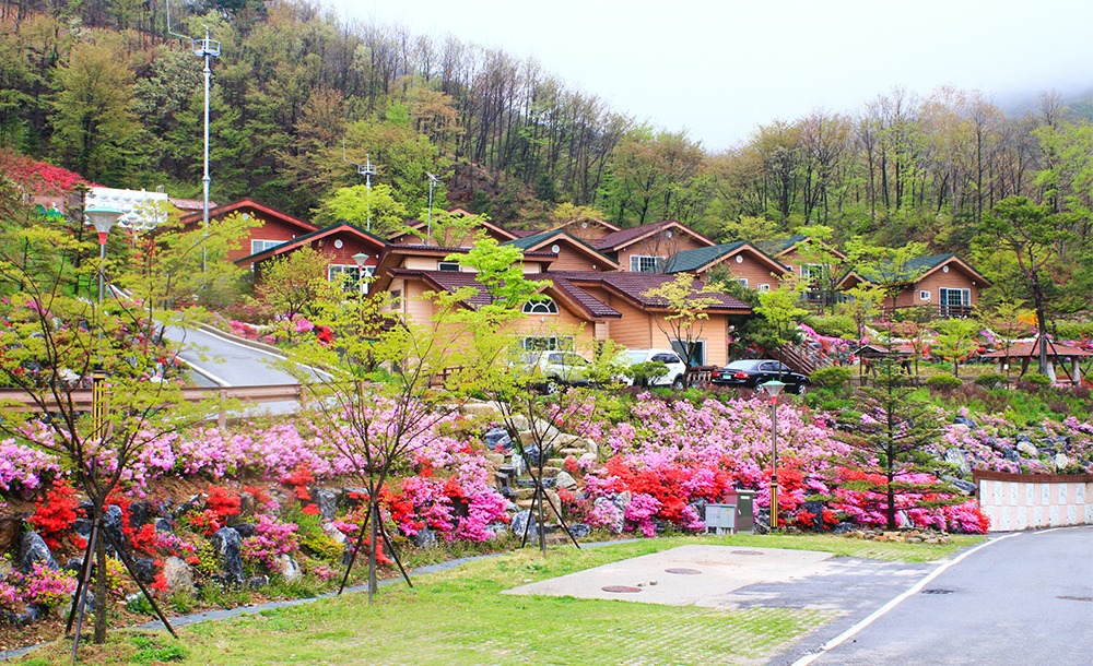 전북 데미샘 자연휴양림