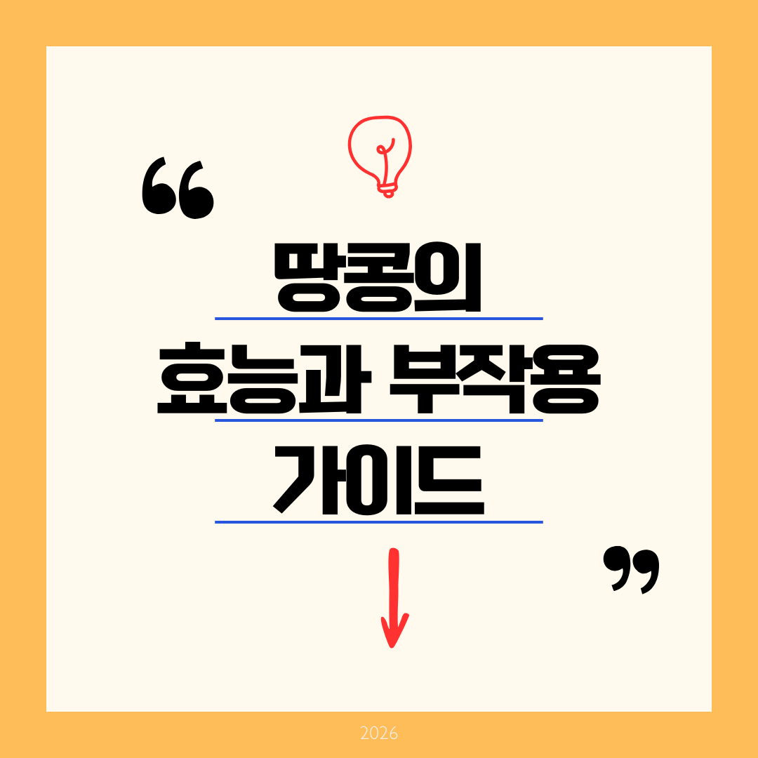 땅콩 효능과 부작용 완벽 가이드 하루 섭취량부터 치명적인 곰팡이 독소 예방까지