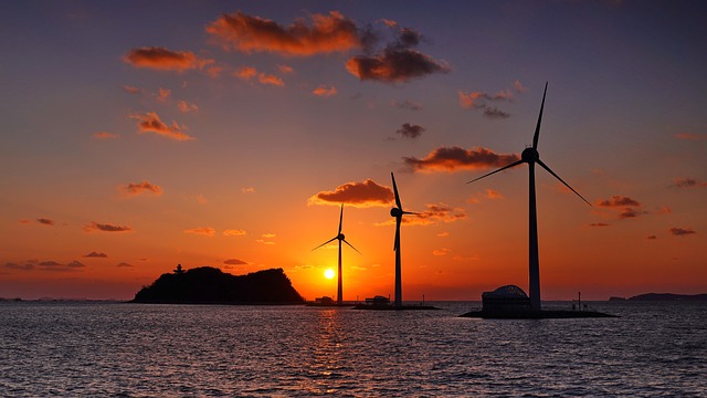 일본 희귀 성씨와 귀화 역사