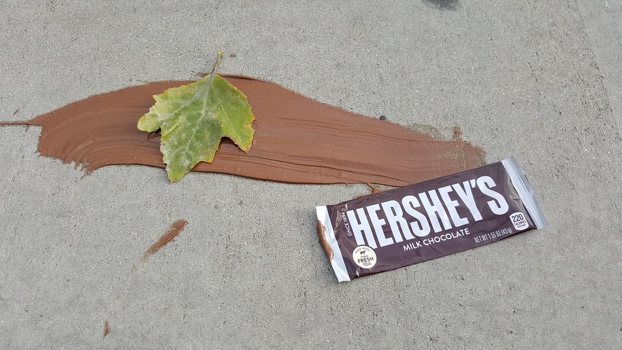 허쉬(Hershey’s): 지속 가능한 초콜릿 생산과 윤리적 카카오 조달