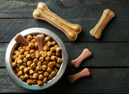 개의 방귀 냄새