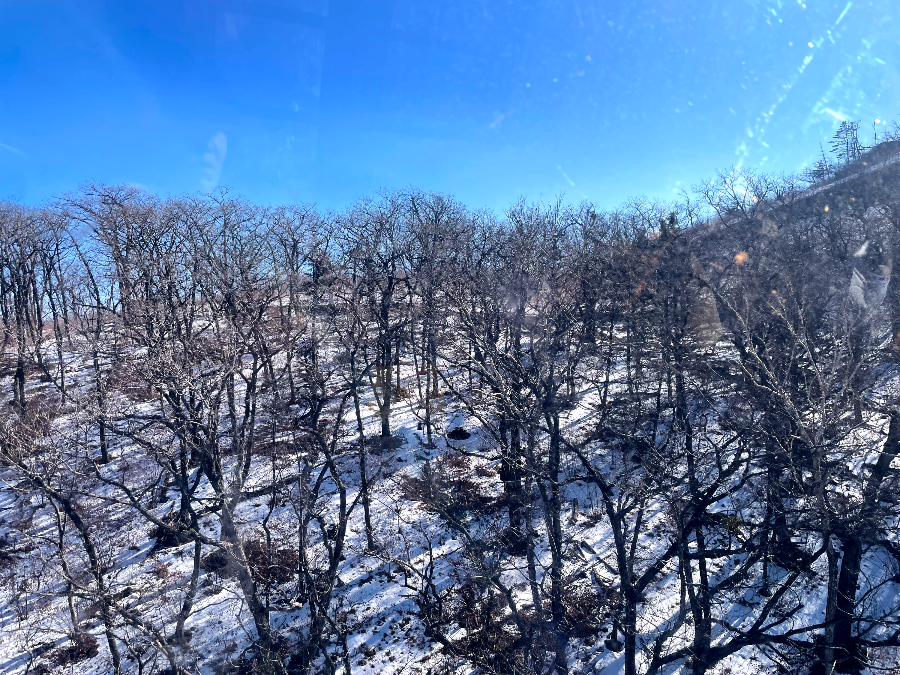 가리왕산 케이블카 체험여행안내 : 숙암역 탑승