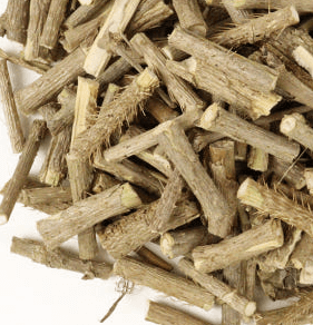 가시오가피 효능, 부작용, 먹는방법 총정리