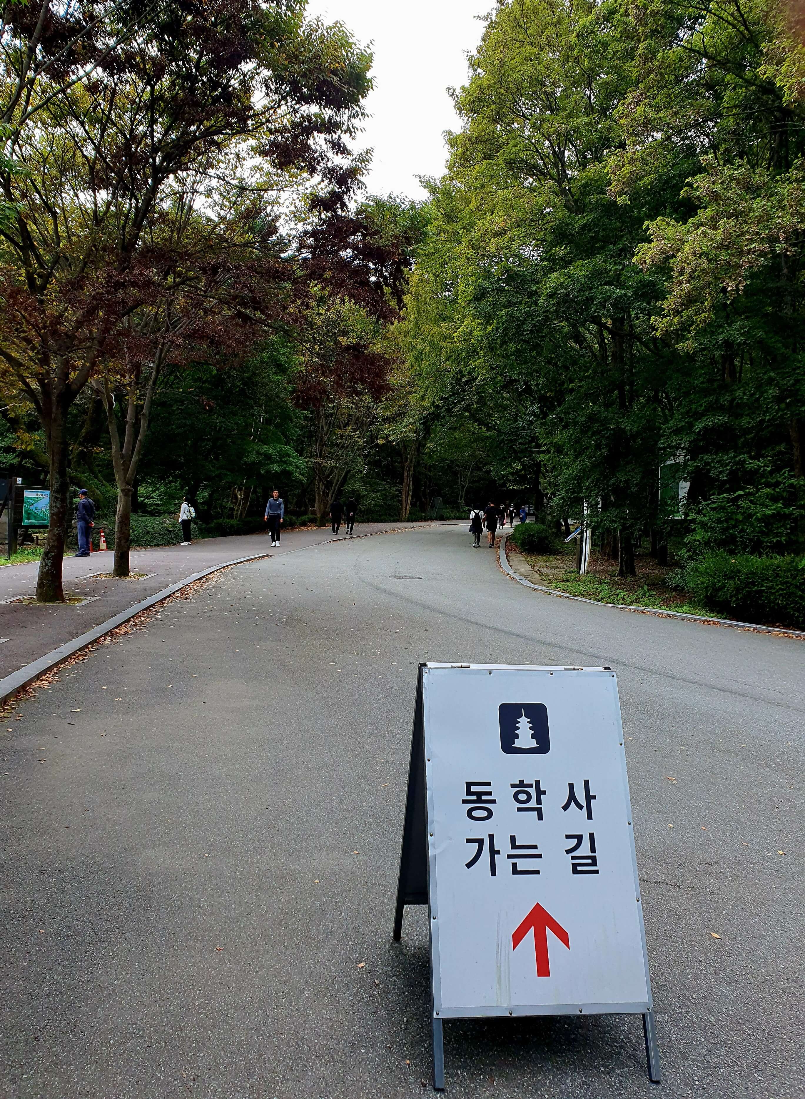 동학사